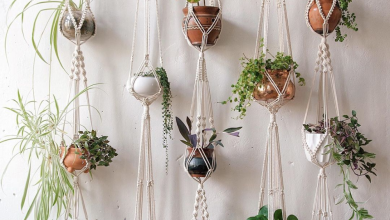 Photo of Лучшие идеи для домашнего декора