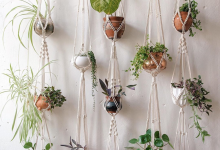 Photo of Лучшие идеи для декора