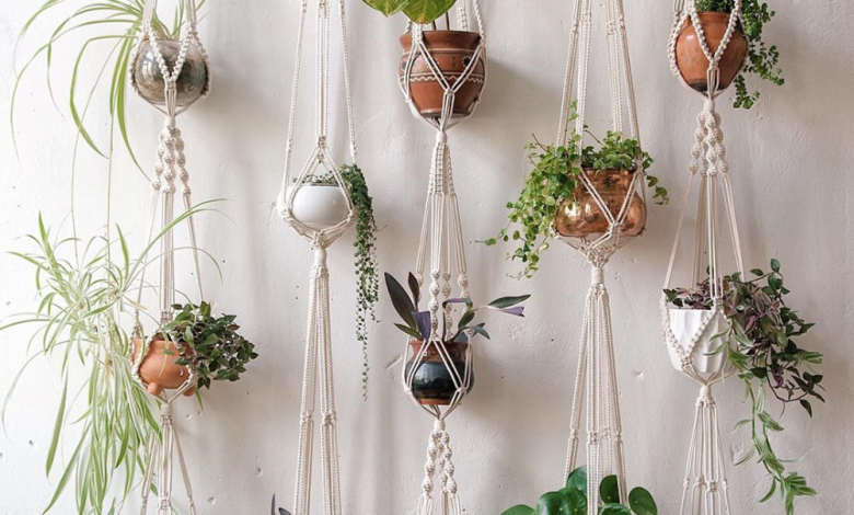 Photo of Лучшие идеи для декора