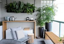 Photo of Домашние растения в интерьере