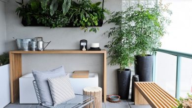 Photo of Домашние растения в интерьере