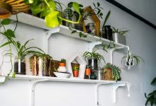Photo of Декорирование с использованием растений