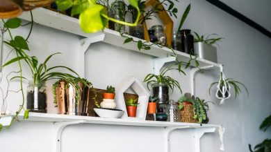 Photo of Декорирование с использованием растений