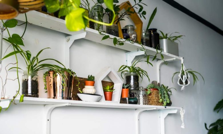 Photo of Декорирование с использованием растений